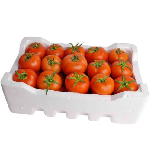 طماطم فلين كبير